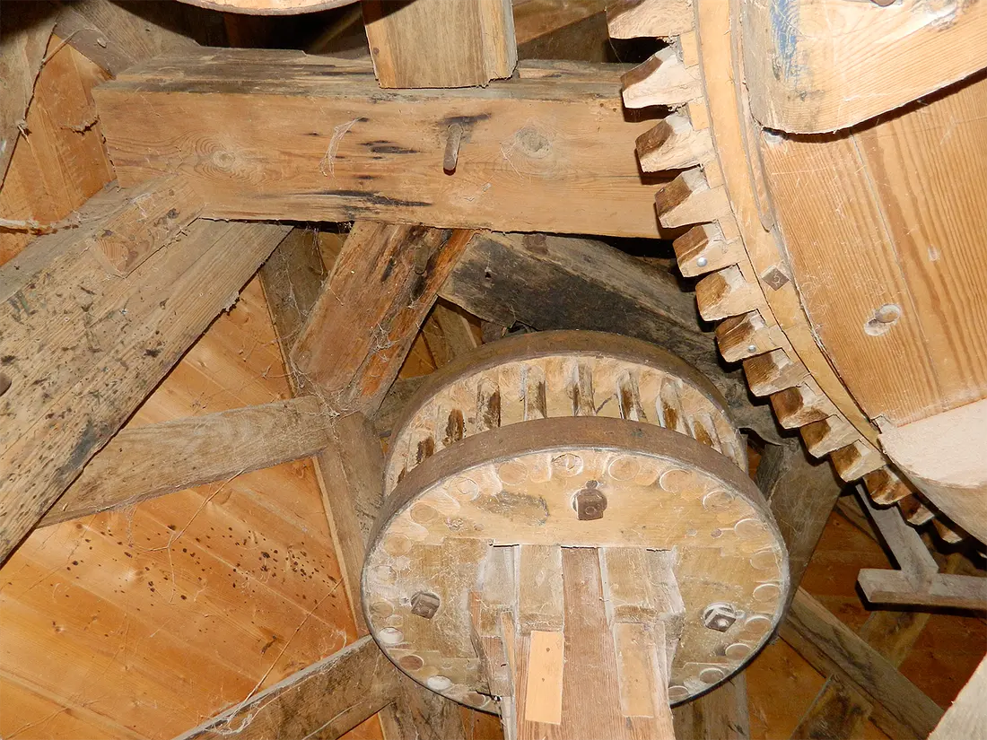 18, Molen 00493 De Jonge Hendrik (Den Andel), Vincent Mepschen (9-6-2019) | Database Nederlandse molens