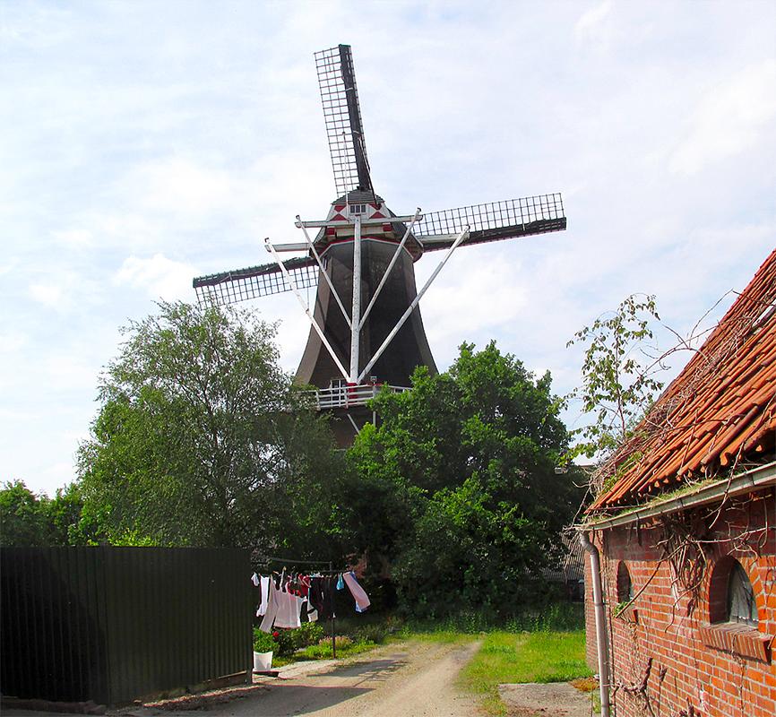 4, Molen 00483 De Lelie (Eenrum), Piet Glasbergen (7-6-2019) | Database Nederlandse molens