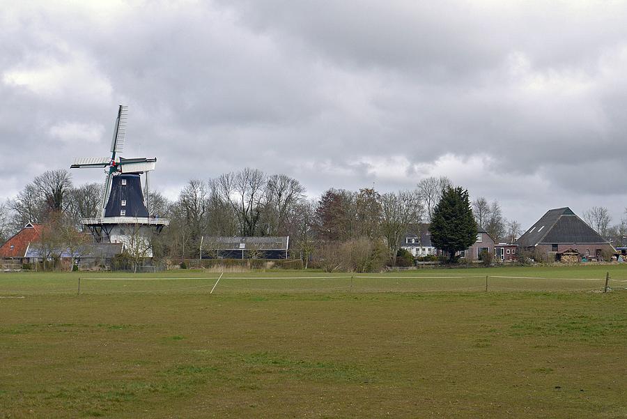 2, Molen 00477 Joeswert (Feerwerd), Matthieu Hoogduin (21-3-2015)Deze foto toont de plaats van de molen in het landschap aan de rand van het dorp. | Database Nederlandse molens