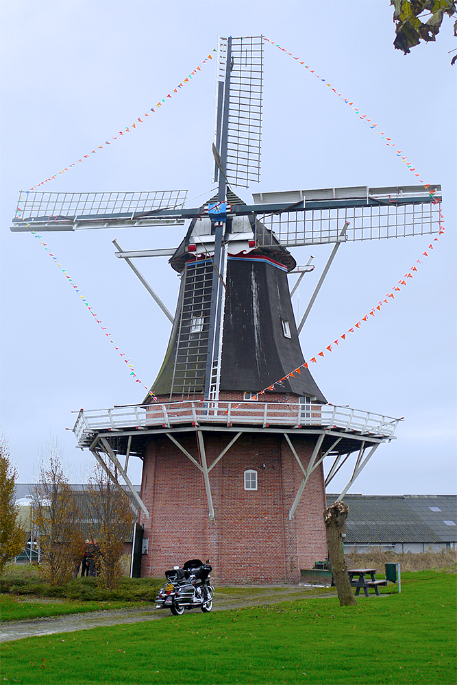 Molen 00561 Udema's molen (Finsterwolde (Ganzedijk)), Matthieu Hoogduin (24-11-2013)De molen is versierd vanwege de doop van de molen.  | Database Nederlandse molens
