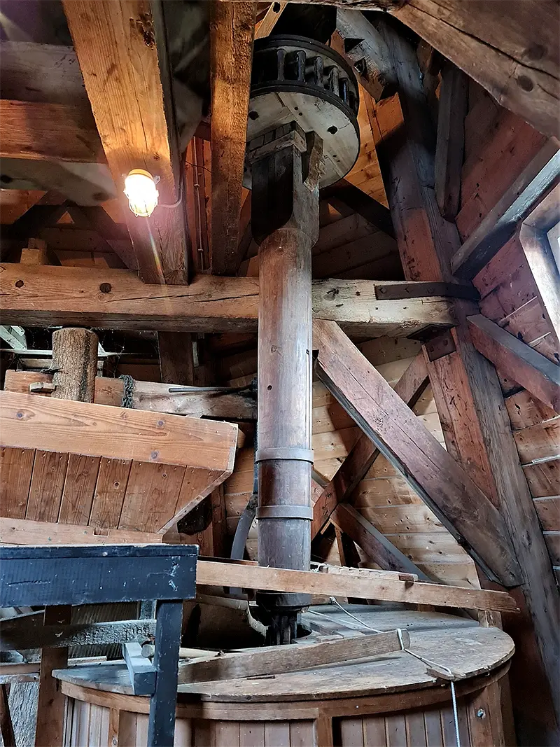 17, Molen 06410 De Meeuw (Garnwerd), Pieter Zuijkerbuijk (31-8-2023) | Database Nederlandse molens