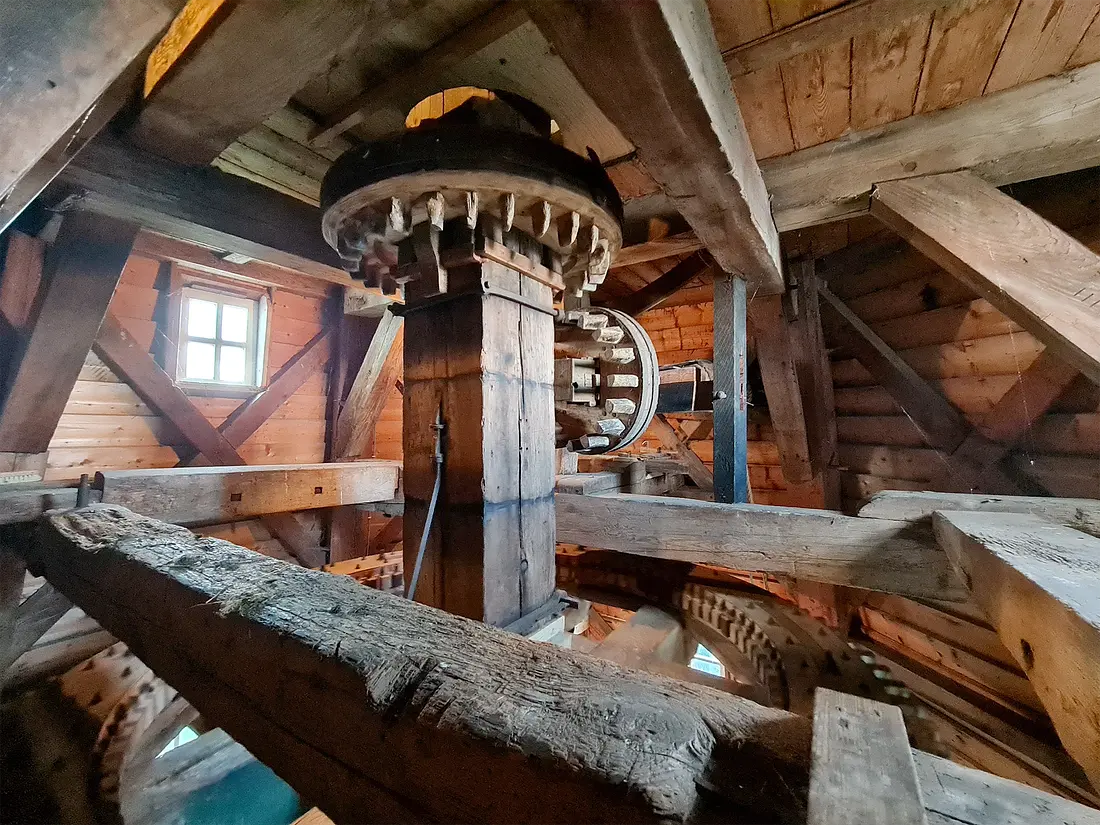 20, Molen 06410 De Meeuw (Garnwerd), Pieter Zuijkerbuijk (31-8-2023) | Database Nederlandse molens
