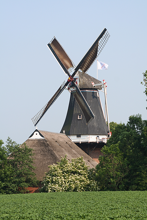 2, Molen 00451 De Hoop (Garsthuizen), Harmannus Noot (10-6-2007) | Database Nederlandse molens