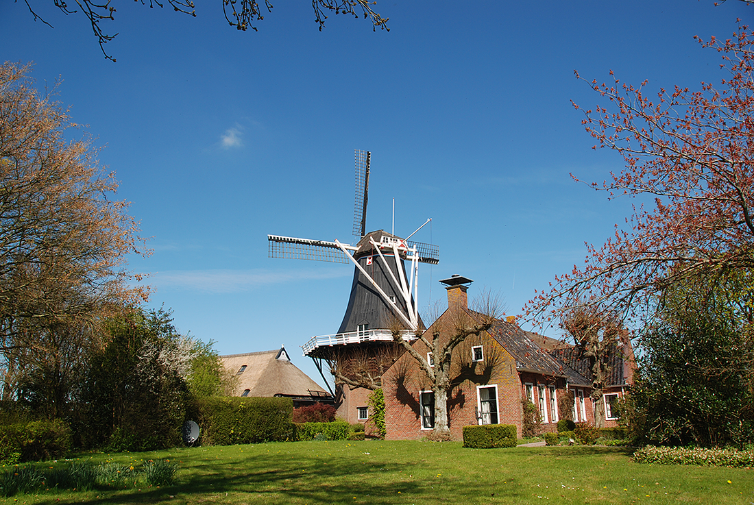 3, Molen 00451 De Hoop (Garsthuizen), Harmannus Noot (23-4-2015) | Database Nederlandse molens