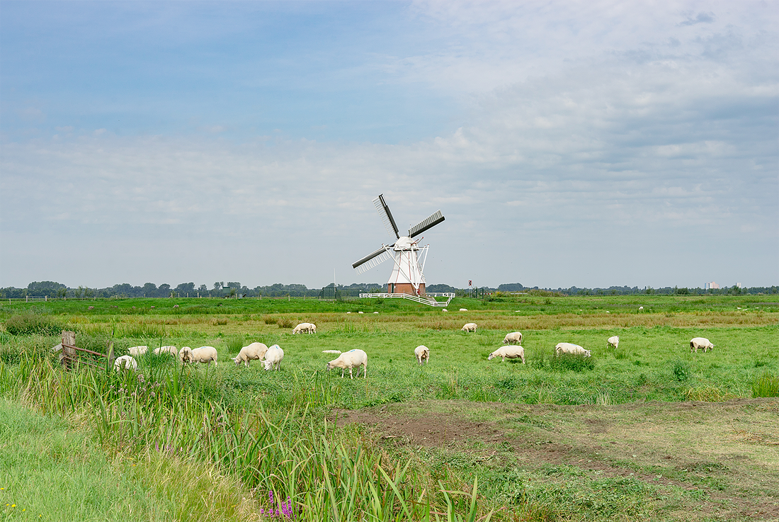 4, Molen 04423 De Witte Molen (Glimmen), Marcel van Nies (8-8-2017) | Database Nederlandse molens