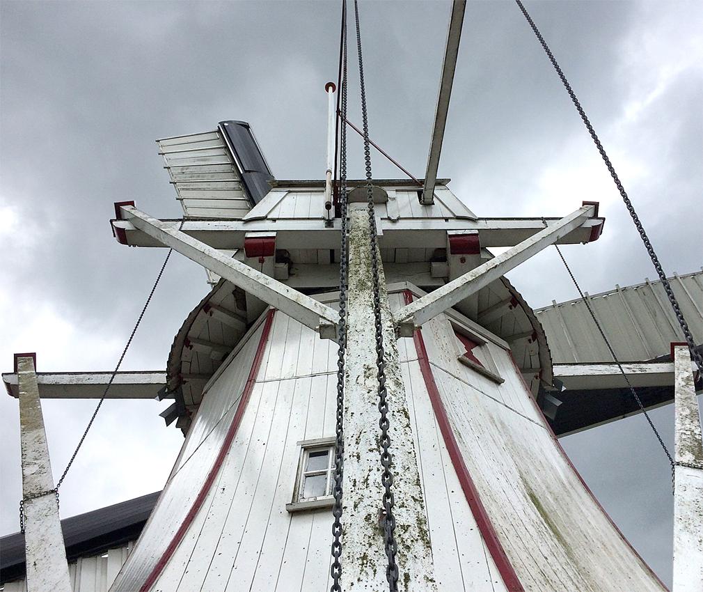 5, Molen 04423 De Witte Molen (Glimmen), Willem Telgen (12-5-2020) | Database Nederlandse molens