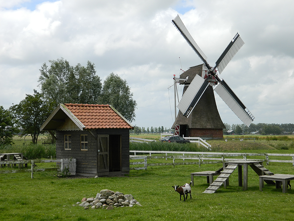 1, Molen 04448 Westerhornermolen (Grijpskerk), Vincent Mepschen (14-6-2016) | Database Nederlandse molens