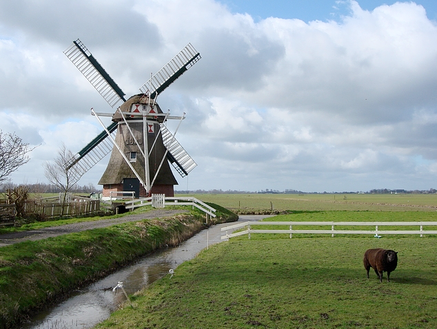 3, Molen 04448 Westerhornermolen (Grijpskerk), Dick Bunskoeke (14-03-2008) | Database Nederlandse molens