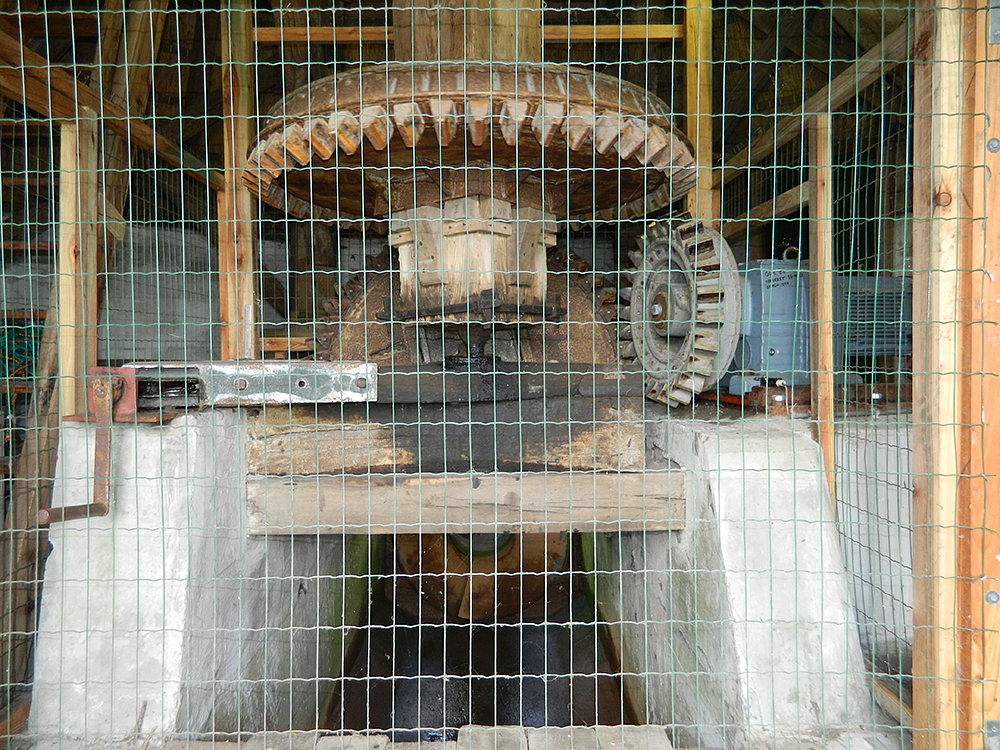 7, Molen 04448 Westerhornermolen (Grijpskerk), Vincent Mepschen (14-6-2016) | Database Nederlandse molens