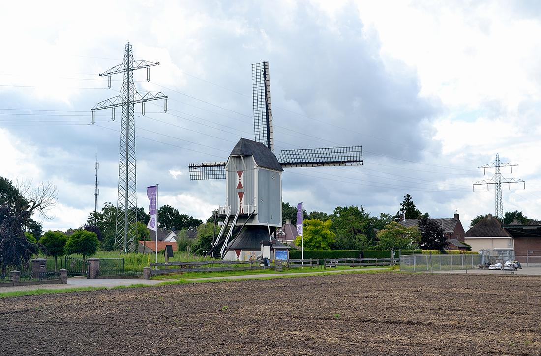 4, Molen 00215 Sint Anthoniusmolen (Kessel), Rob Pols (7-8-2021)Wat betreft windvang is het niet super, maar zeker ook niet beroerd. Wel werken de hoogspanningsmasten op korte afstand sterk verkleinend. | Database Nederlandse molens