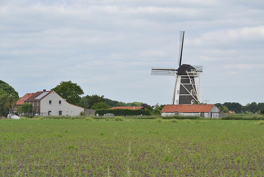 2, Molen 02804 Sint Antonius (Weert-Laar), De vangstok is later aangebracht. Oorspronkelijk was er een vangtrommel, zoals te doen gebruikelijk in deze omgeving.  Rob Pols (30-5-2014). | Database Nederlandse molens