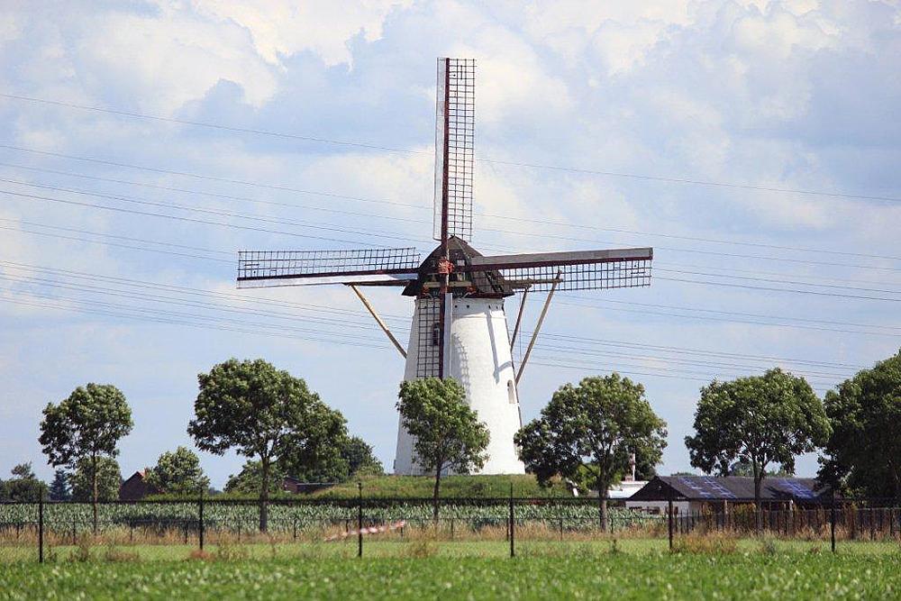 4, Molen 02804 Sint Antonius (Weert-Laar), Frits Kruishaar (7-7-2012). | Database Nederlandse molens