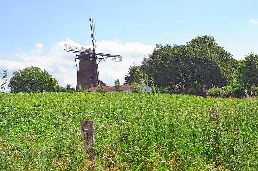 1, Molen 03931 Molen van Hunnecum (Nuth), Rob Pols (3-8-2013) | Database Nederlandse molens
