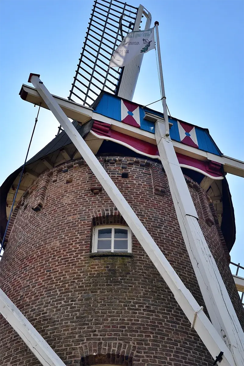 7, Molen 01117 Janssenmolen (Oirsbeek), Rob Pols (6-8-2022)Het achterkeuvels met de achterbaard. Opmerkelijk zijn de steunberen boven de romp. De Korenbloem in Ospel (Noord-Limburg) heeft dit ook.  | Database Nederlandse molens