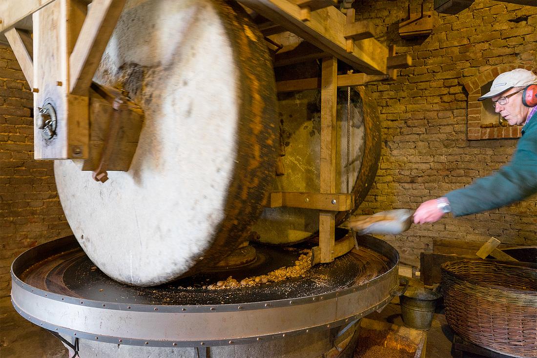 13, Molen 02781 Windlust (Nederweert-Roeven), Marcel van Nies (25-4-2018)Op de kollergang worden oliehoudende zaden of noten geplet. Hier zijn dat droge, schoongemaakte walnoten. De aanstrijker veegt de zaden/noten van buiten naar binnen tot voor de binnenste kantsteen. | Database Nederlandse molens