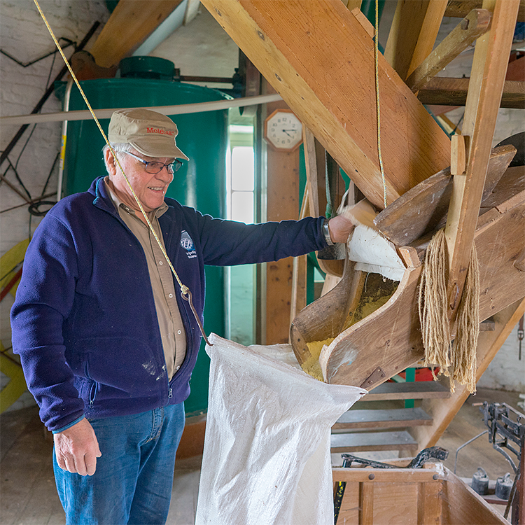 15, Molen 02788 Molen van Verbeek (Sint Odiliënberg), Marcel van Nies (4-3-2017) | Database Nederlandse molens
