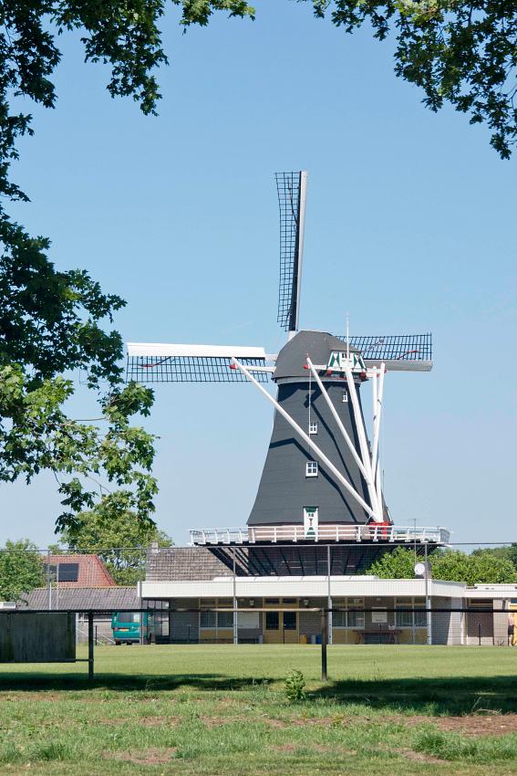 2, Molen 02803 De Hoop (Swartbroek), Anne Huijzer (26-5-2017)Dit is hoe de molen er momenteel bij staat. | Database Nederlandse molens