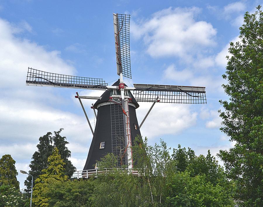 4, Molen 02803 De Hoop (Swartbroek), Rob Pols (30-5-2014)De windvang is weliswaar nog in orde, De Hoop is niet bepaald makkelijk goed te fotograferen, ondanks de hoogte van de molen. Ook hier komt de begroeiing meer op.&nbsp; | Database Nederlandse molens