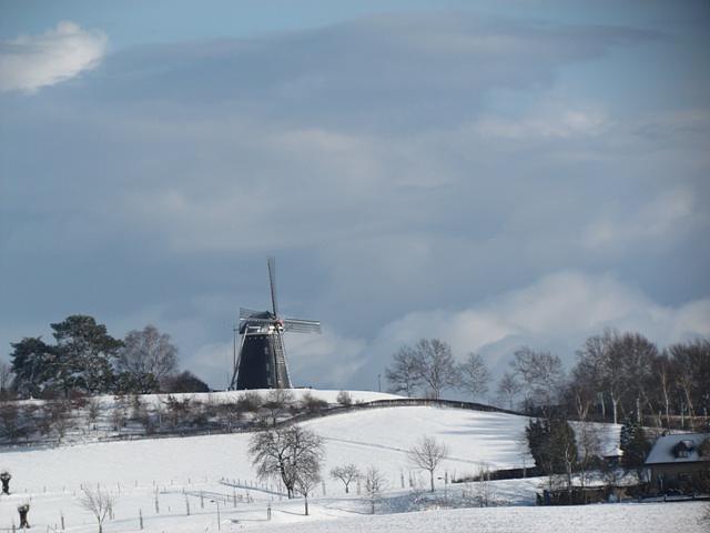 3, Molen 01134 Op de Vrouweheide (Ubachsberg), Giovanna Cupperi (19-2-2012). | Database Nederlandse molens