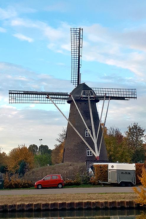 2, Molen 02778 Sint Oda (Weert), Koen van der Maat (9-11-2018)Anno 2018 is de toestand alleen maar slechter. De fokken zijn nagenoeg helemaal weggewaaid en het is de vraag hoelang het duurt voordat de rest naar beneden komt. | Database Nederlandse molens