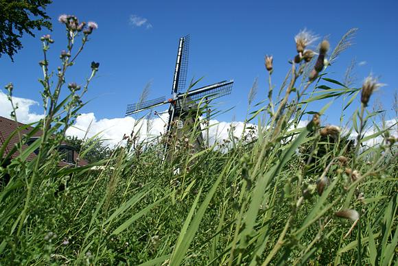 4, Molen 02778 Sint Oda (Weert), Michel Dellebeke (juli 2007). | Database Nederlandse molens