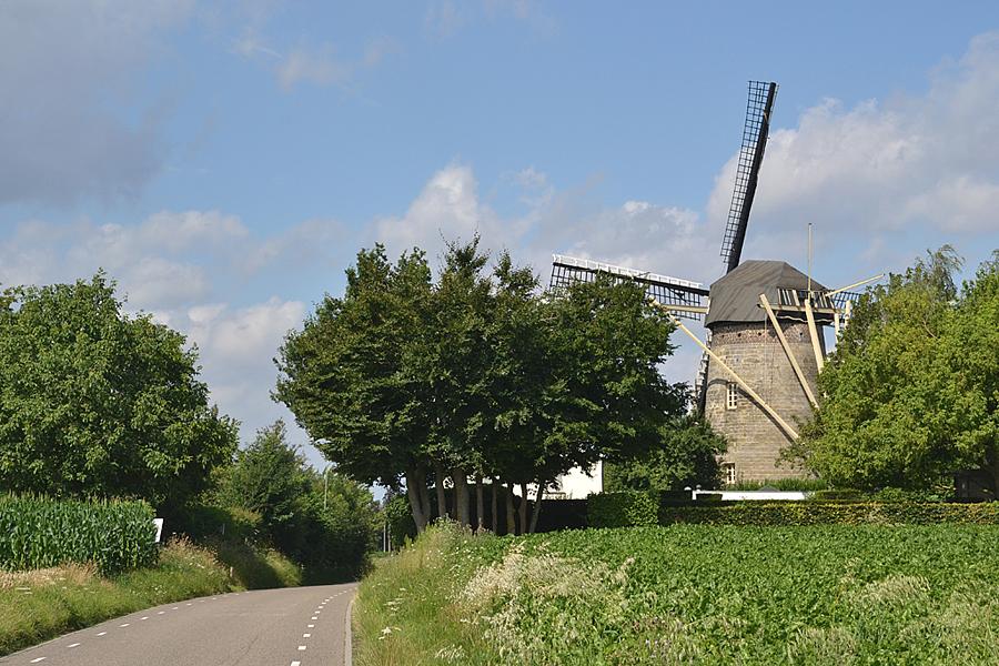 3, Molen 03936 Van Tienhovenmolen (Wolfshuis (Bemelen)), De molen wordt zo langzamerhand omringd door hoge begroeiing op korte afstand.  Zou deze worden gerooid, dan zou de molen kilometers vrije windvang hebben!  Rob Pols (3-8-2013). | Database Nederlandse molens