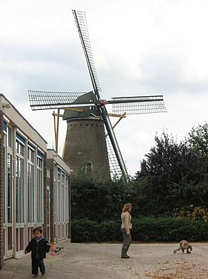 1, Molen 00294 Aalstermolen (Aalst), Ruud Barnasconi (2-10-2006).Vlak naast de molen bevindt zich een school met speelplaats.&nbsp; | Database Nederlandse molens