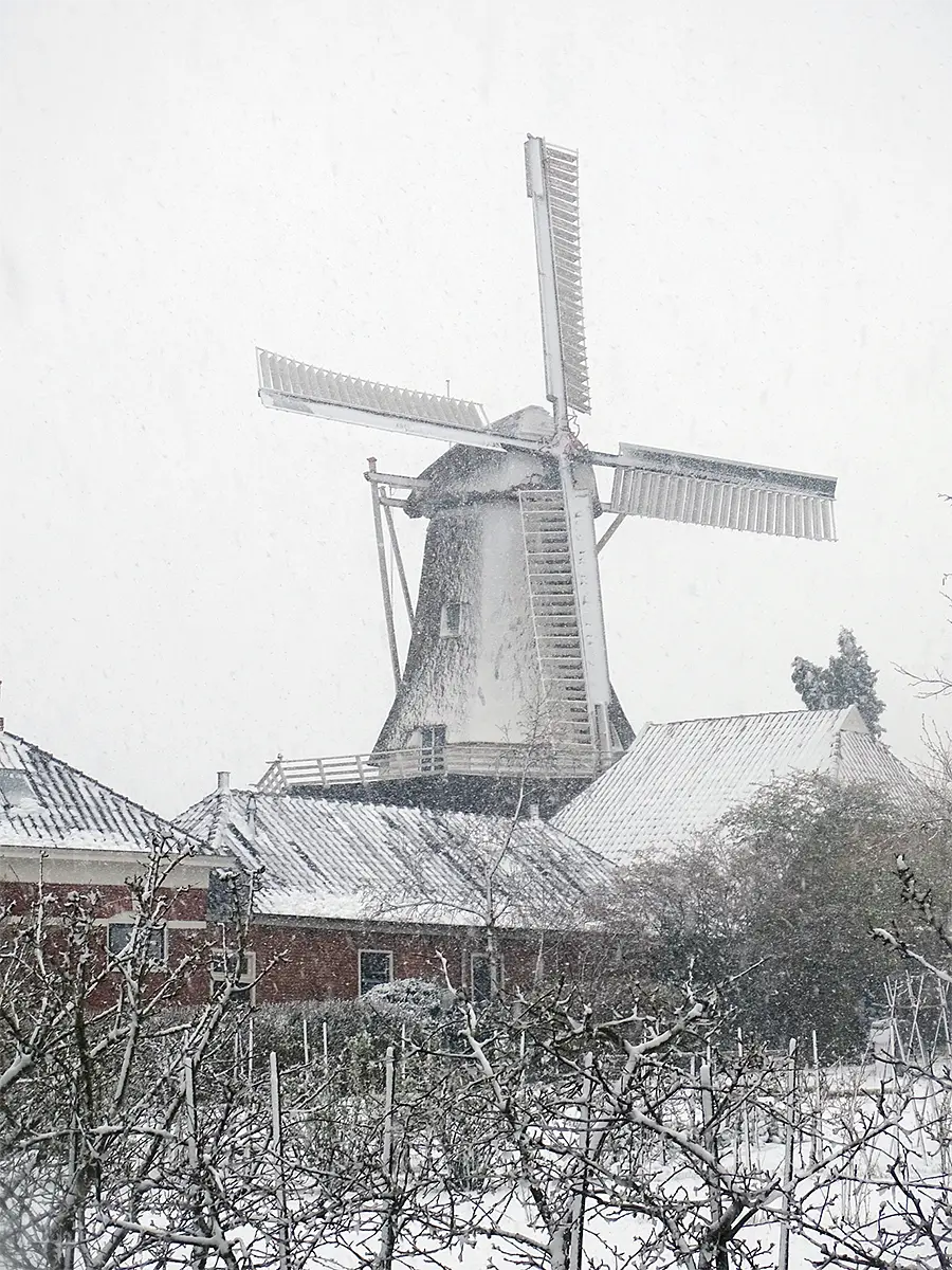 6, Molen 06408 De Vriendschap (Winsum), Martin E. van Doornik (31-3-2022)Sneeuw tijdens de lente! | Database Nederlandse molens