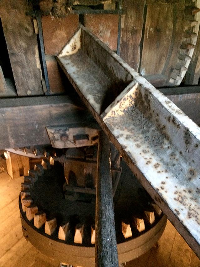 13, Molen 00450 De Leeuw (Zeerijp), Willem Telgen (25-4-2020) | Database Nederlandse molens