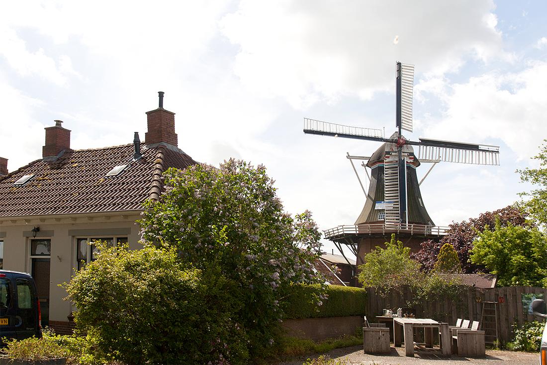 1, Molen 00486 De Zwaluw (Zuurdijk), Bram Westerink (23-5-2020) | Database Nederlandse molens
