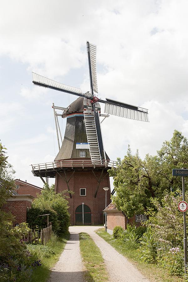 4, Molen 00486 De Zwaluw (Zuurdijk), Bram Westerink (23-5-2020) | Database Nederlandse molens