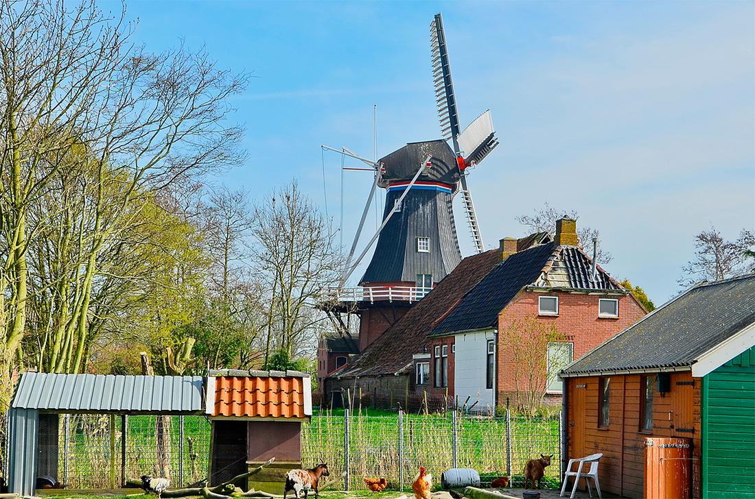 3, Molen 00486 De Zwaluw (Zuurdijk), Bernd Käding (2-4-2014) | Database Nederlandse molens