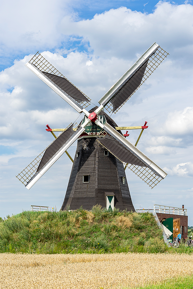 Molen 17091 De Grauwe Beer (Beesel), Marcel van Nies (22-7-2017) | Database Nederlandse molens