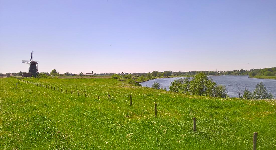 5, Molen 17091 De Grauwe Beer (Beesel), Barth Glasbergen (6-5-2018) | Database Nederlandse molens