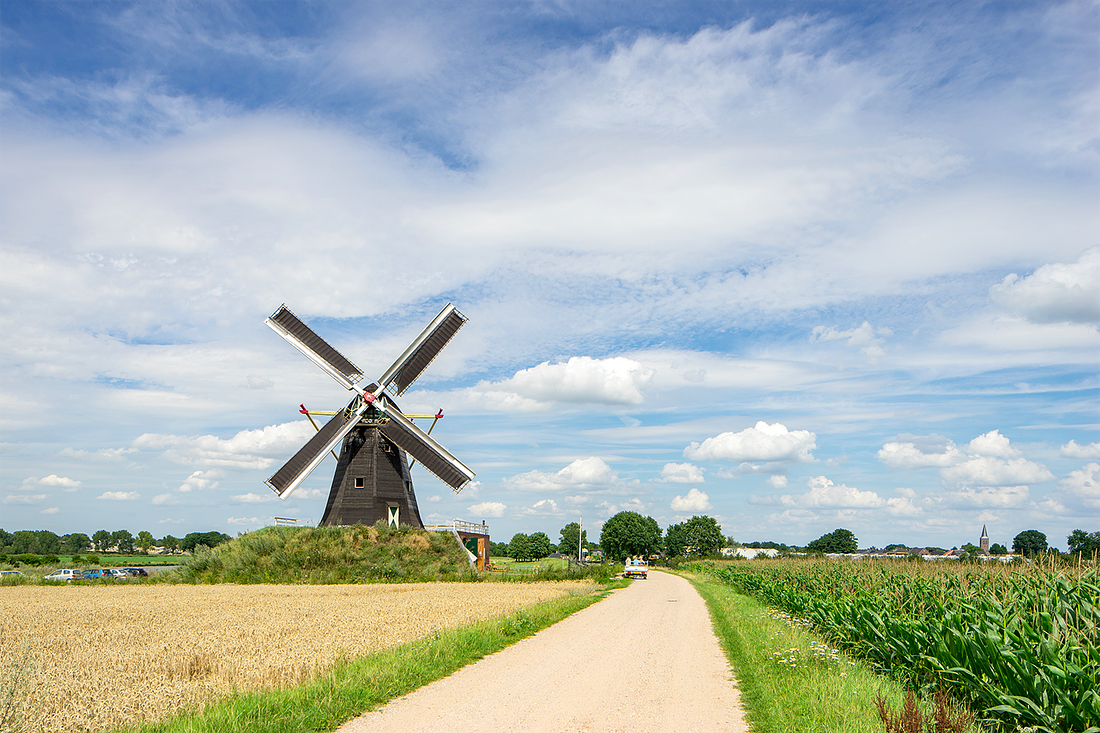 4, Molen 17091 De Grauwe Beer (Beesel), Marcel van Nies (22-7-2017) | Database Nederlandse molens