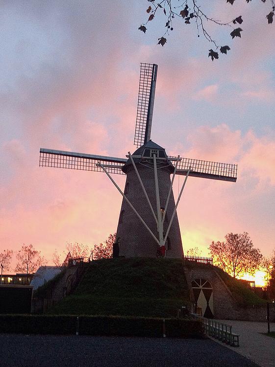 4, Molen 02780 Wilhelmus-Hubertus (Weert), Rolf Zincken (oktober 2014)Aanzicht na restauratie. | Database Nederlandse molens
