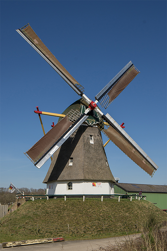 Molen 01225 Bergzicht (Gassel), Marcel van Nies (16-3-2017) | Database Nederlandse molens
