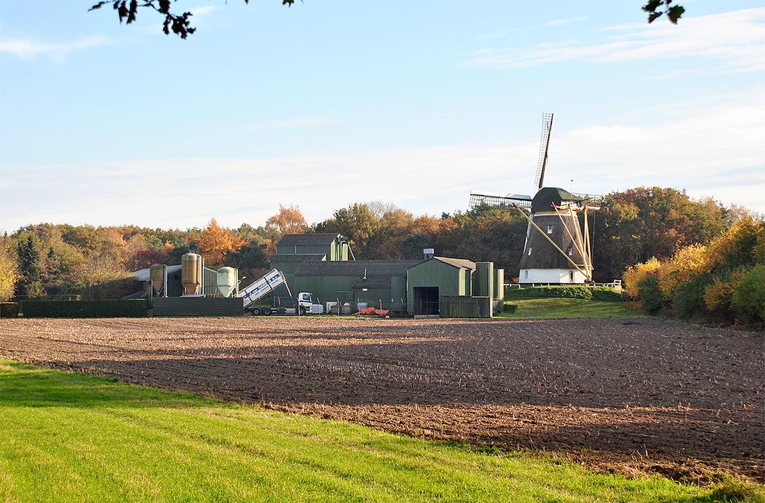 3, Molen 01225 Bergzicht (Gassel), Kees Kammeraat (4-11-2015) | Database Nederlandse molens
