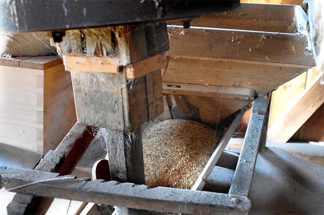 17, Molen 12196 Zeldenrust (Geffen), Boukje van Leijen (1-8-2015) | Database Nederlandse molens