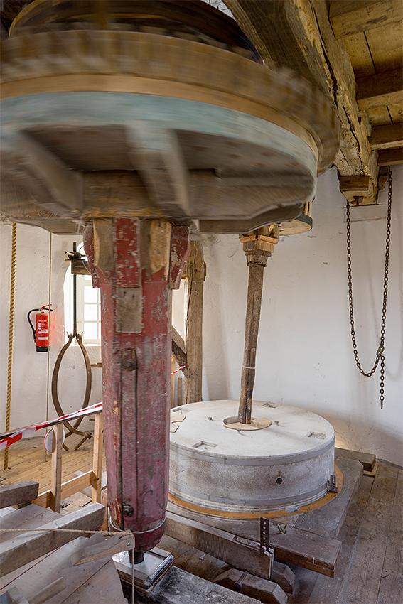 13, Molen 02608 't Nupke (Geldrop), Marcel van Nies (30-3-2019) | Database Nederlandse molens