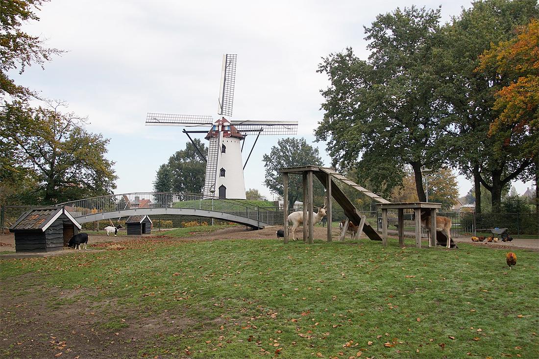 1, Molen 02600 De Wilde (Goirle), Boukje van Leijen (30-10-2019) | Database Nederlandse molens