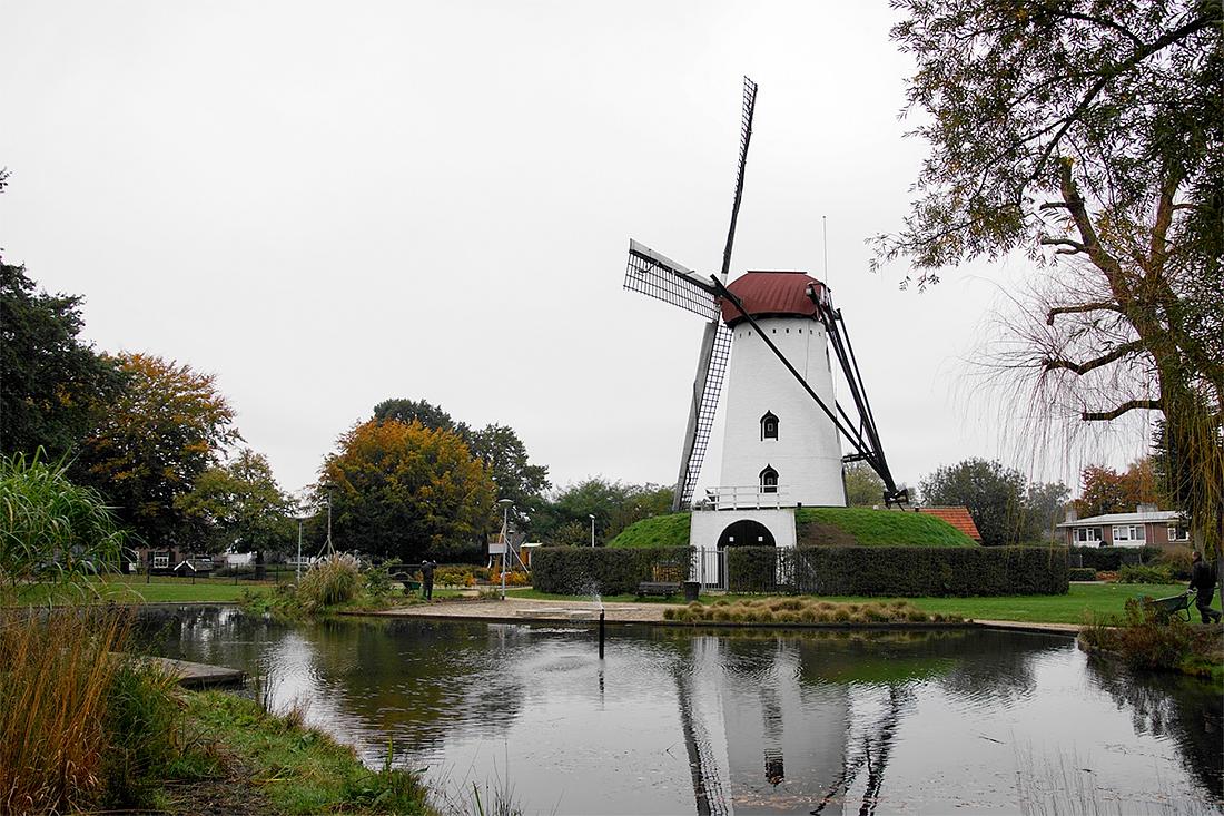 3, Molen 02600 De Wilde (Goirle), Boukje van Leijen (30-10-2019) | Database Nederlandse molens