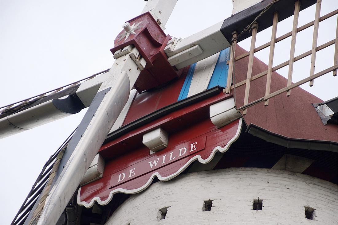 4, Molen 02600 De Wilde (Goirle), Boukje van Leijen (30-10-2019) | Database Nederlandse molens