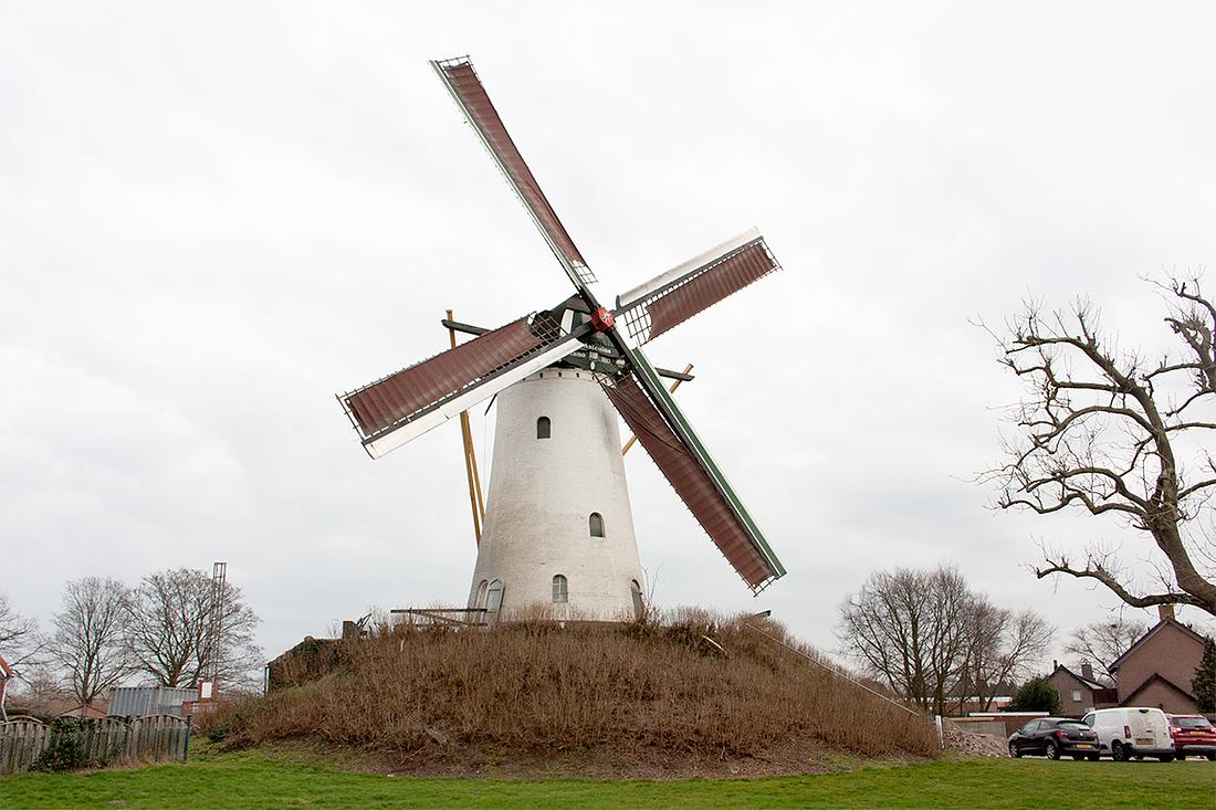 1, Molen 00709 Sancto Antonio / St. Antonius (Halsteren), Bram Westerink (25-2-2021) | Database Nederlandse molens
