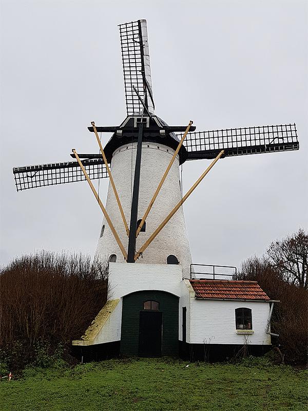 2, Molen 00709 Sancto Antonio / St. Antonius (Halsteren), Pieter Zuijkerbuijk (23-12-2018) | Database Nederlandse molens