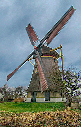 Molen 01186 Zuidhollandse Molen (Hank), Johan Straver (15-1-2011) | Database Nederlandse molens