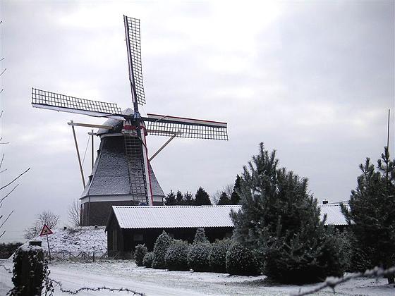 5, Molen 01967 Mariamolen (Haps), Marc Crins (25-1-2005) | Database Nederlandse molens