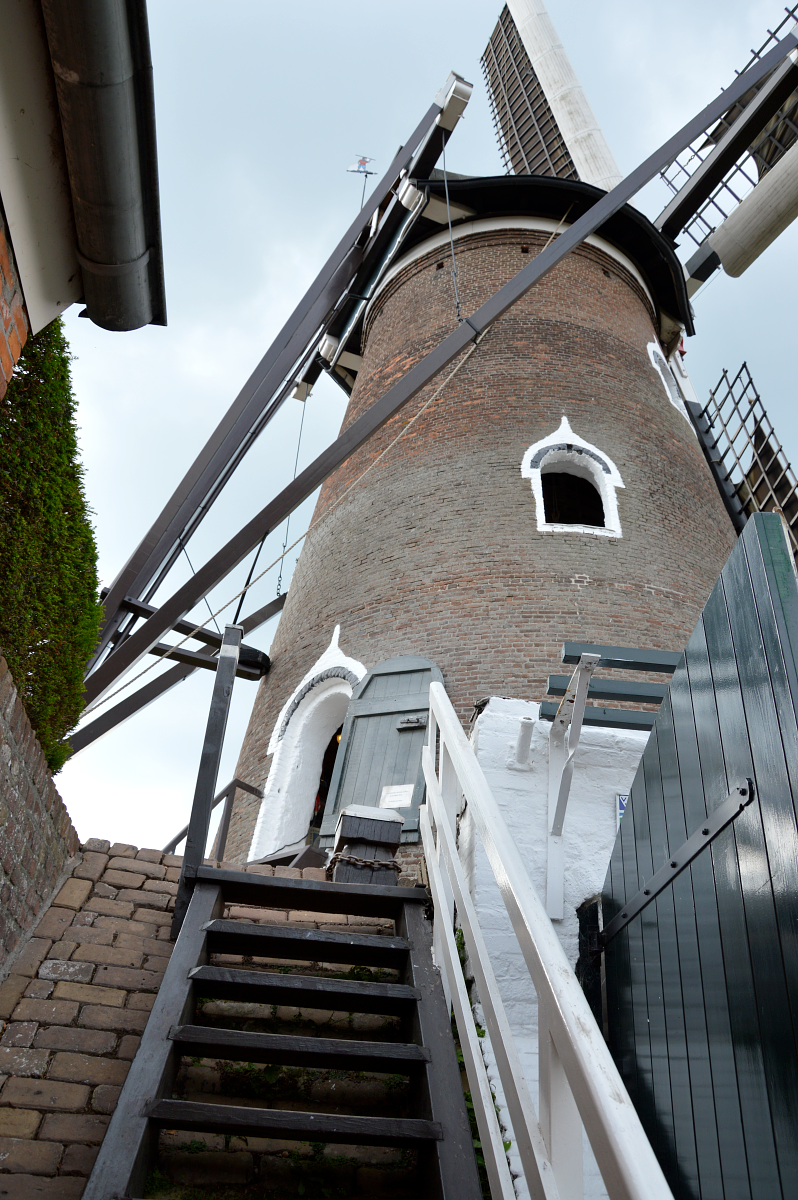 4, Molen 02523 De Doornboom (Hilvarenbeek), Henriette Koot (13-9-2017) | Database Nederlandse molens