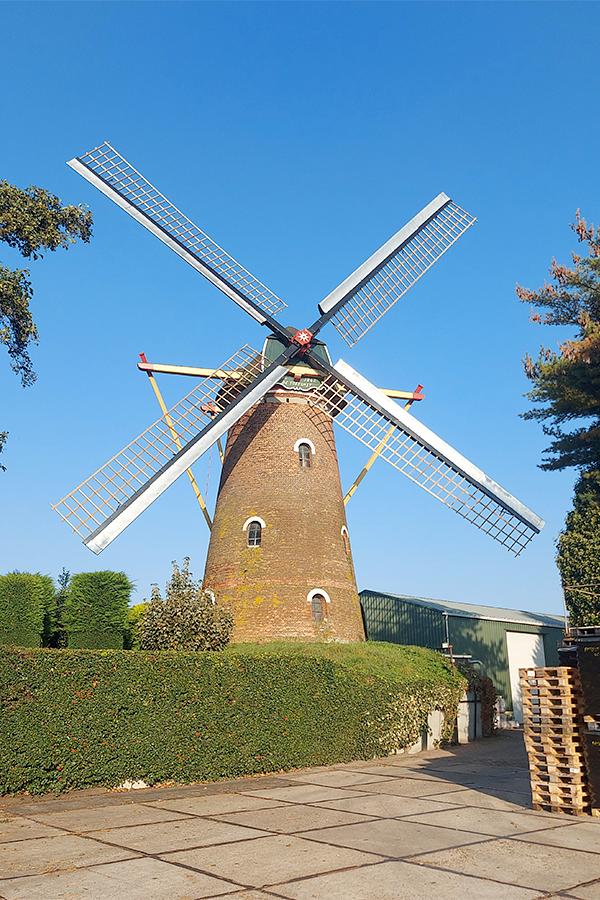 Molen 02651 De Toekomst (Hoeven), Jesse Bergquist (9-10-2021) | Database Nederlandse molens