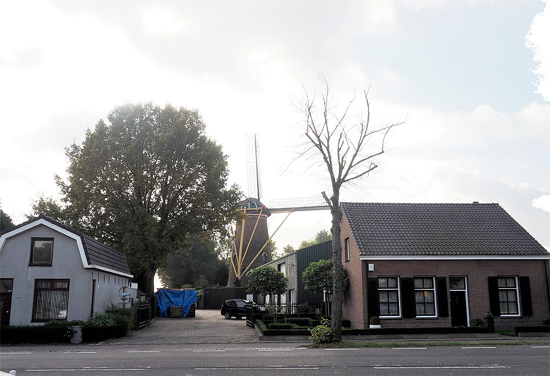 3, Molen 02651 De Toekomst (Hoeven), Rob Van Rompaey (2-11-2016) | Database Nederlandse molens